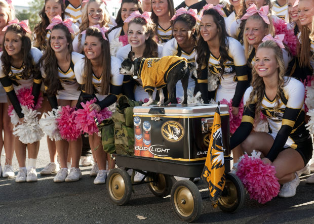 Mizzou cheerleaders